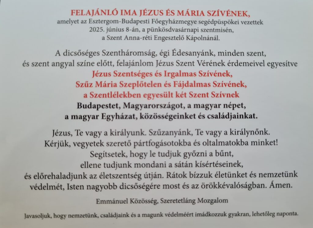 saját kép