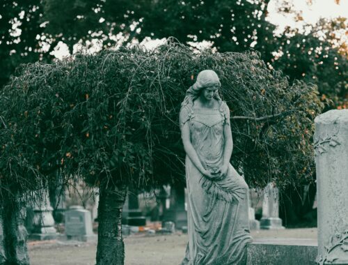 „Nem haltál meg, a halál illúzió” – Sajgó Balázs atya elmélkedése